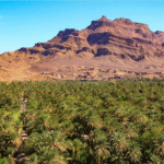 5 Days Desert Tour from Marrakech to Merzouga