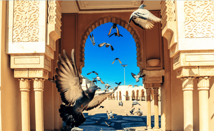 Casablanca Desert Tour from Marrakech – 6 Days