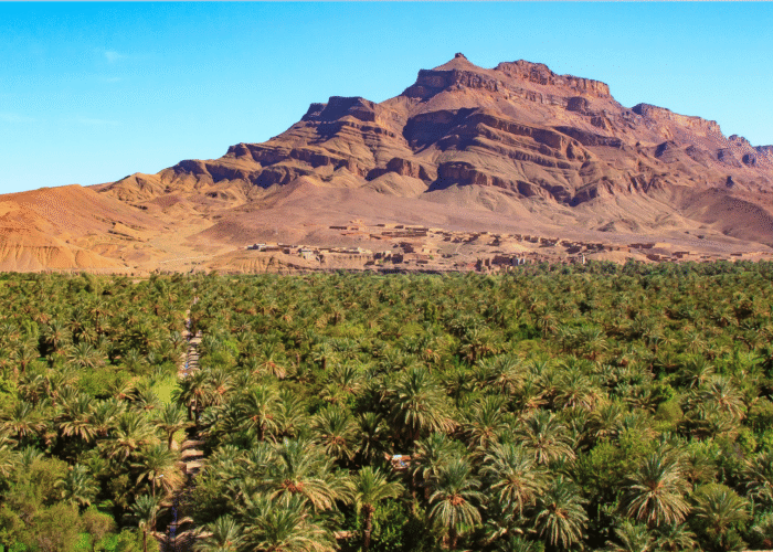 5 Days Desert Tour from Marrakech to Merzouga