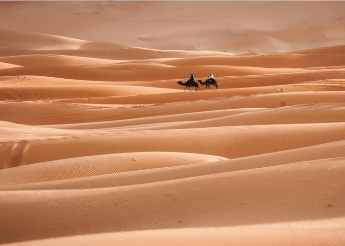 Shared 3 Days Marrakech To Fes Desert Trip