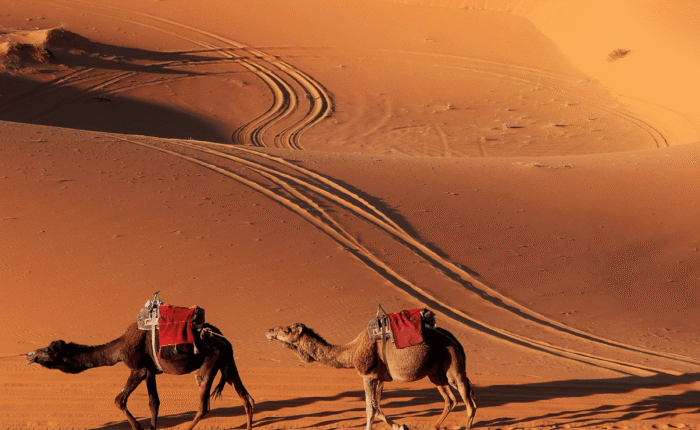 4 Days From Marrakech to Fes Via Merzouga Desert Trip