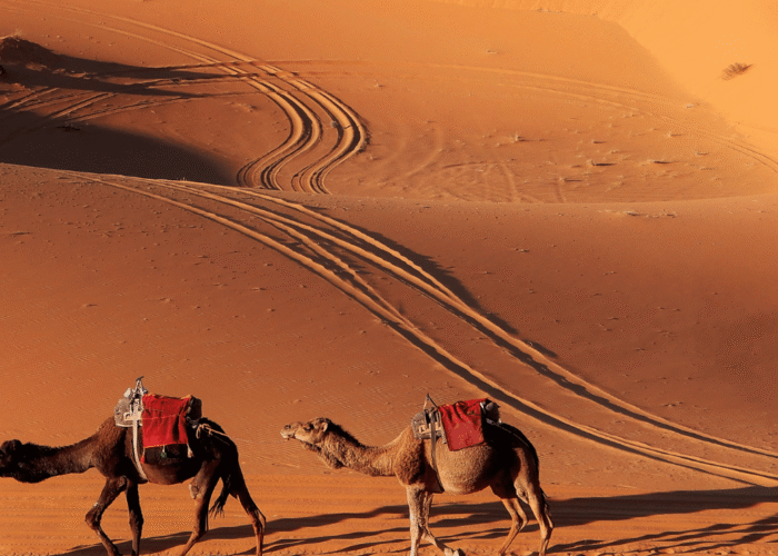 4 Days From Marrakech to Fes Via Merzouga Desert Trip