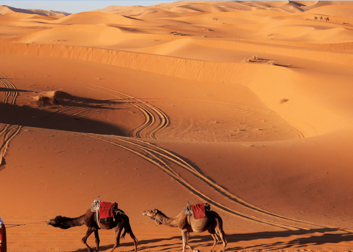 3 Day Marrakech to Merzouga Desert Tour