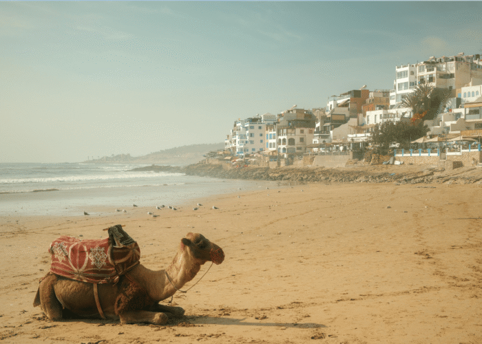 3 Days Marrakech to Agadir via Merzouga Desert Tour