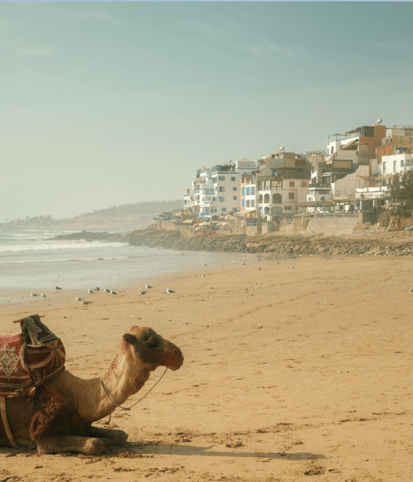 The Best 7 Things to Do in Marrakech