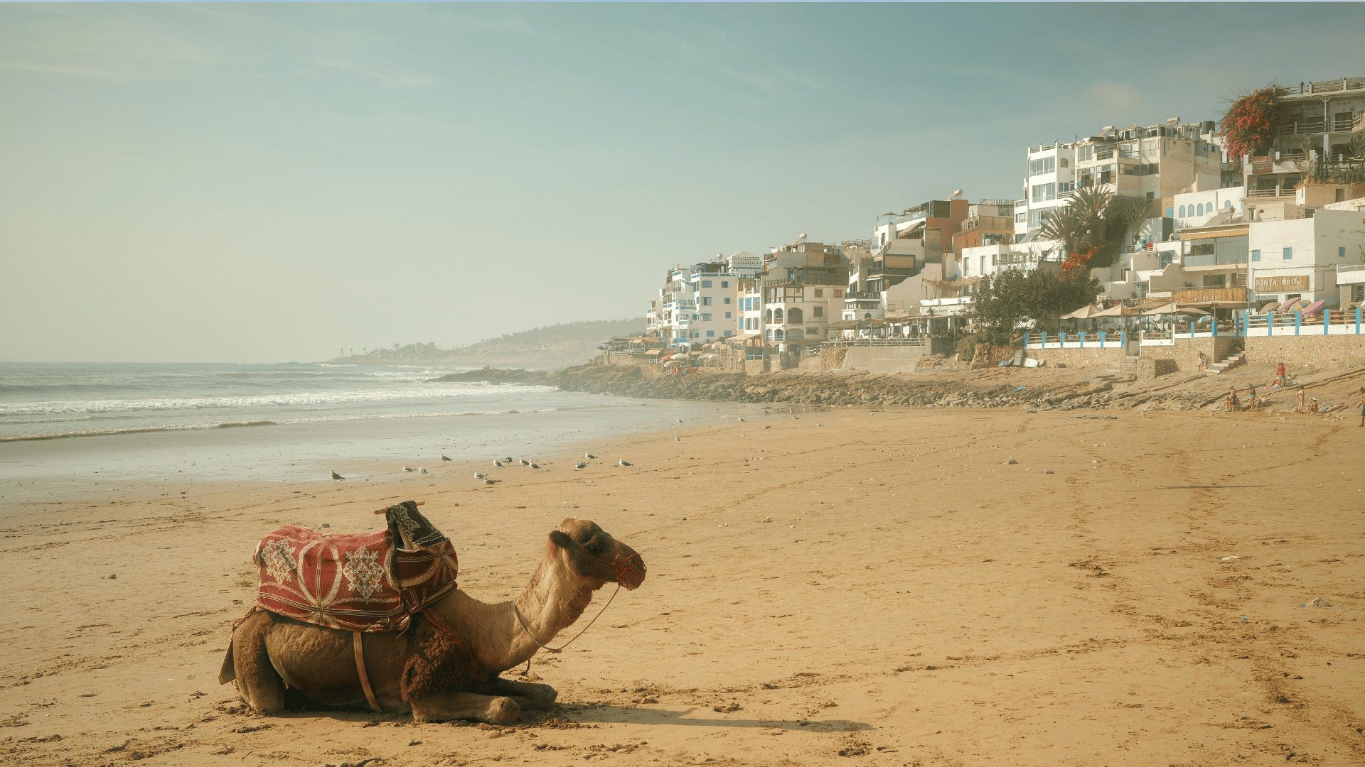 The Best 7 Things to Do in Marrakech