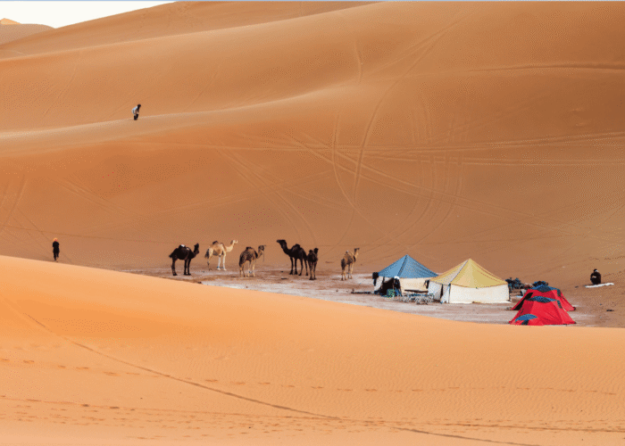 7 Days Trekking Desert Tour from Marrakech to Zagora