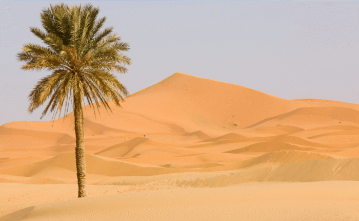 3 Days Marrakech to Merzouga Desert Trekking Tour