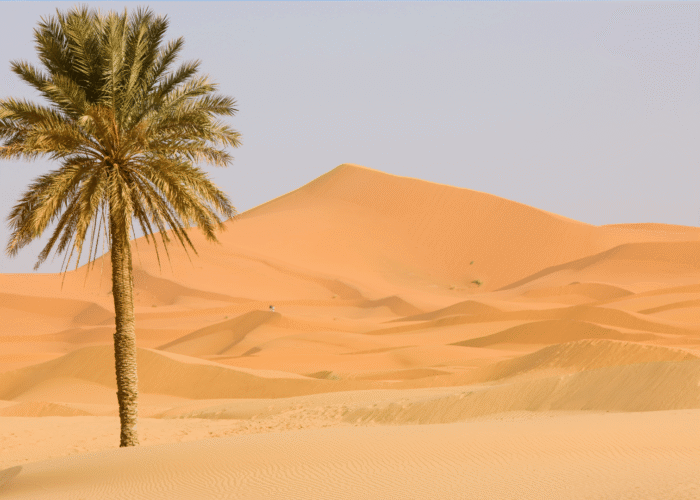 3 Days Marrakech to Merzouga Desert Trekking Tour