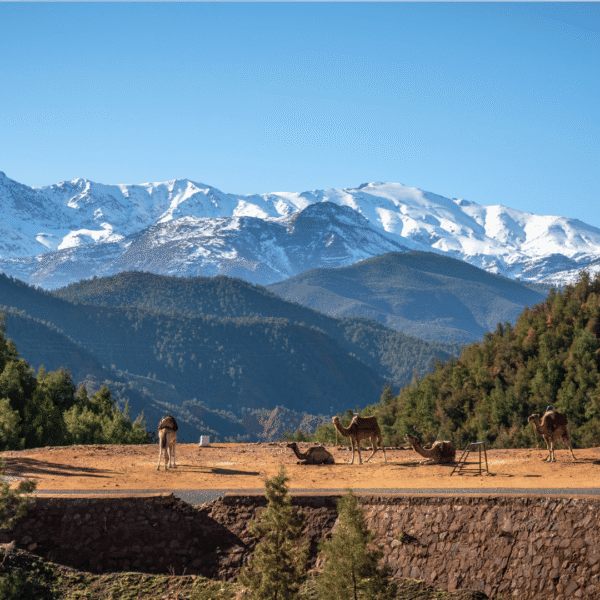 Ourika Valley Day Trip from Marrakech