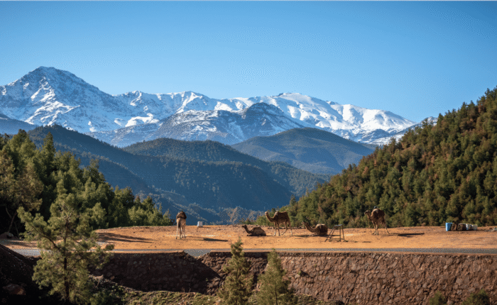 Ourika Valley Day Trip from Marrakech