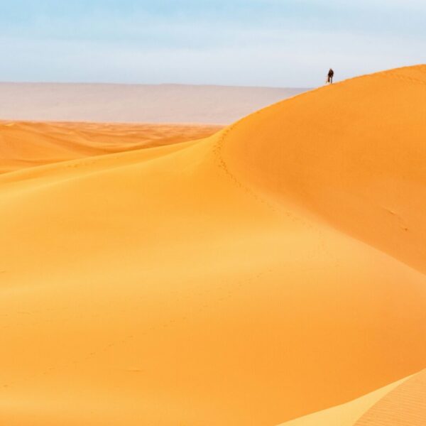 Blogs - Marrakech Fabulous travel