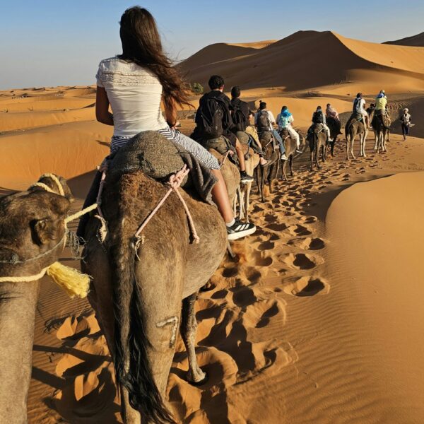 6 Days Family Desert Camel Trekking Tour from Marrakech to Zagora