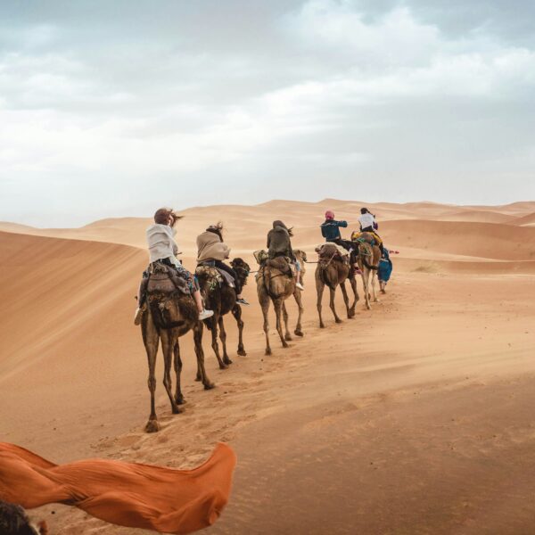 3 Days Marrakech to Zagora & Erg Chegaga Camel Trek Tour